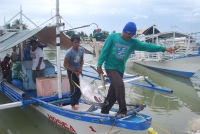 boat boat