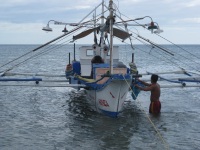 boat boat